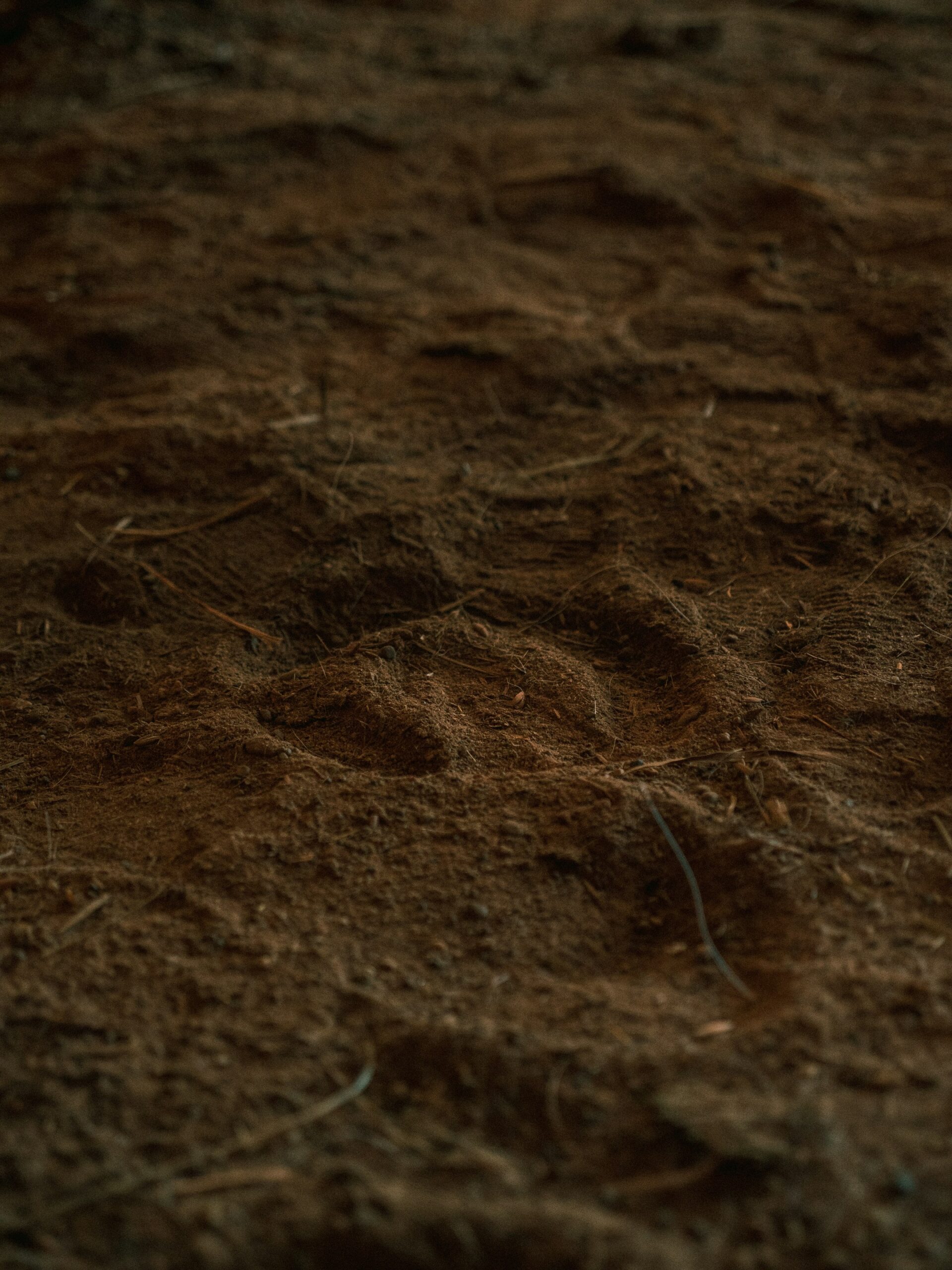 dirt